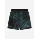 Termit 142597-UB Swim short шорты мужские