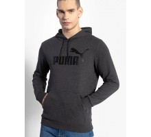 ESS BIG LOGO HOODIE