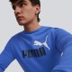 Puma 58676392 ESS+ 2 COL BIG LOGO CREW TR толстовка мужская