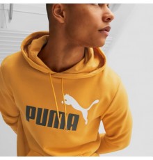 ESS+ 2 COL BIG LOGO HOODIE
