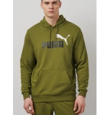 ESS+ 2 COL BIG LOGO HOODIE