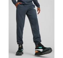 ESS+ 2 COL LOGO PANTS TR CL
