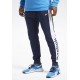 Reebok GH6215 TE LL FT GRAPHIC JOGGER брюки мужские