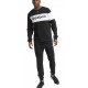 Reebok GH6218 TE LL FT GRAPHIC JOGGER брюки мужские