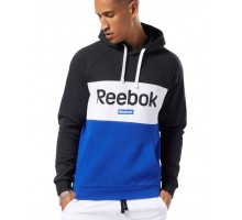 TE BIG LOGO OTH HOODY