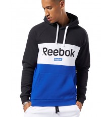 TE BIG LOGO OTH HOODY