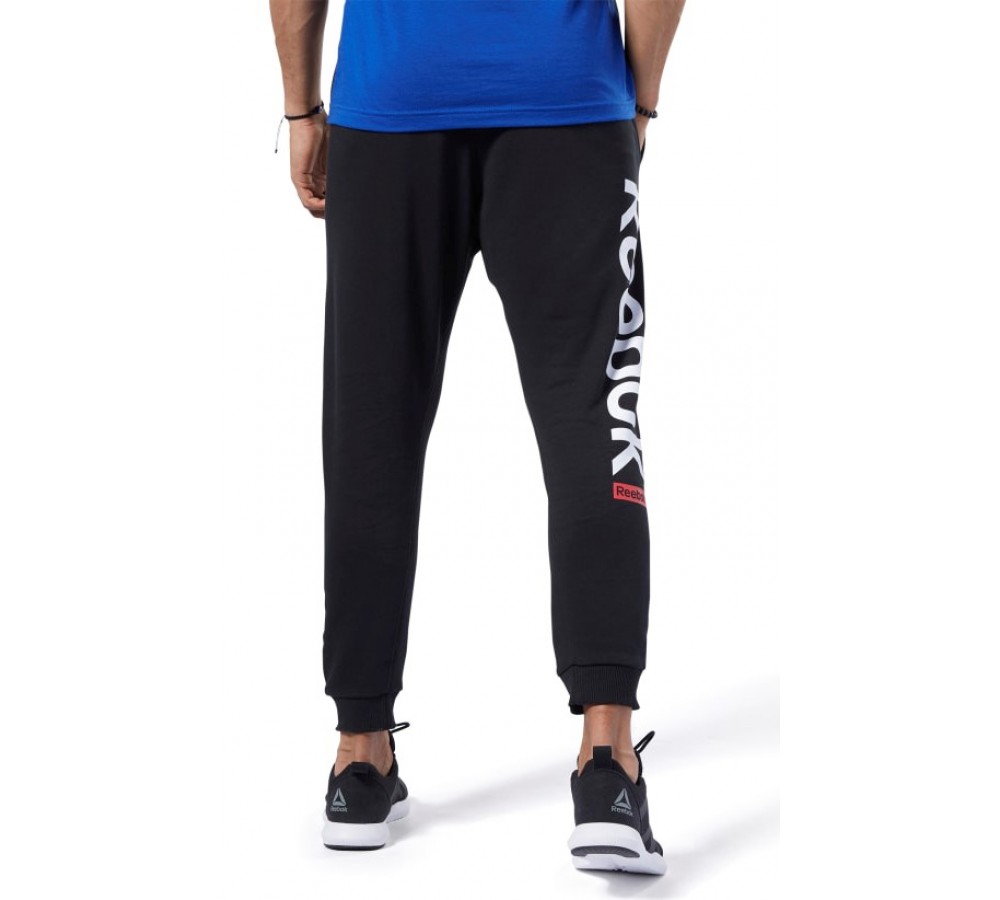 Reebok EJ9868 TE BIG LOGO JOGGER брюки мужские