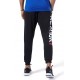 Reebok EJ9868 TE BIG LOGO JOGGER брюки мужские