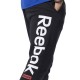 Reebok EJ9868 TE BIG LOGO JOGGER брюки мужские