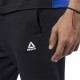Reebok EJ9868 TE BIG LOGO JOGGER брюки мужские