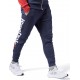 Reebok EJ9869 TE BIG LOGO JOGGER брюки мужские
