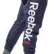 Reebok EJ9869 TE BIG LOGO JOGGER брюки мужские