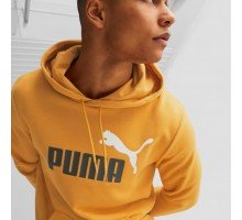 ESS+ 2 COL BIG LOGO HOODIE
